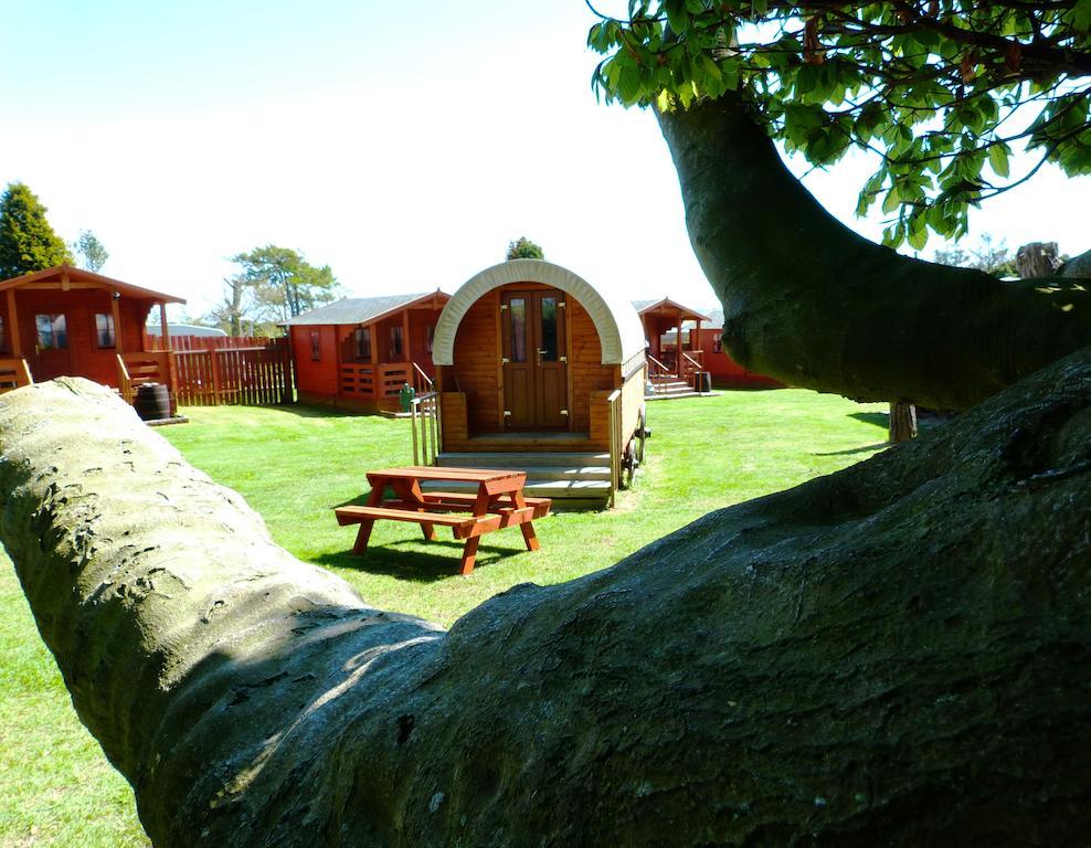 Camping Pinewood Park - Tipis, Hot Tubs And Scarborough